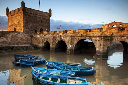 Day Trip Essaouira